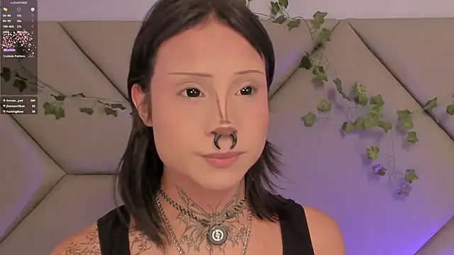StellarKitty_ Show in webcam