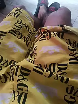 Dsvid2300 Webcam-Show