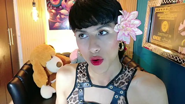 Evans_Robinsonn Webbikameraesitys