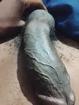 Piazza21 Show Webcam