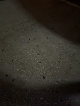 Živá chatovací místnost mybunnylove