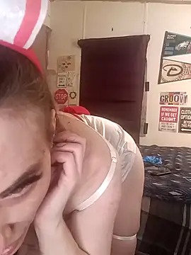 snowbird1117n Webbikameraesitys