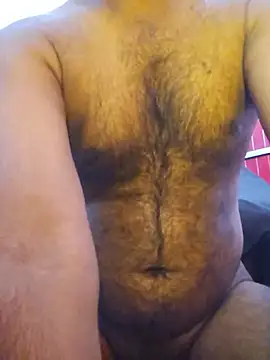 Show webcam de Mallukiran