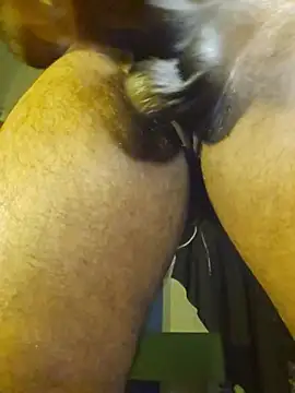 Mallukiran Pertunjukan Webcam