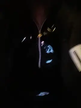 jefflatex45 Webcam Show