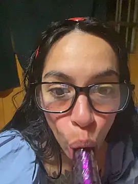 Show de border-stone na webcam
