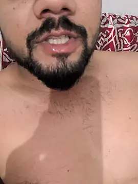 sexytomdev 웹캠 쇼