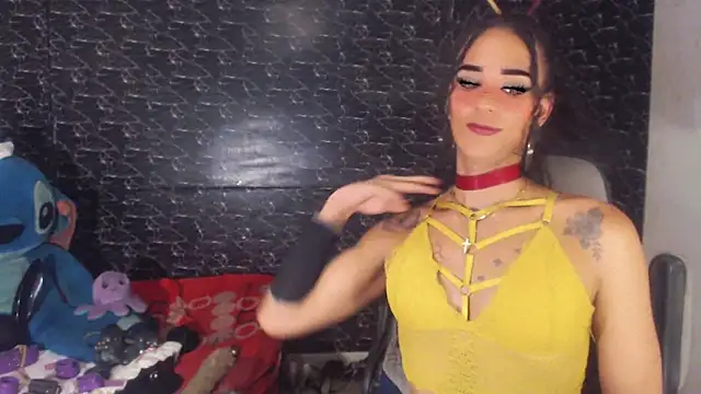 michaeldisstsn Webbikameraesitys