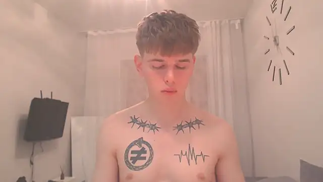 Fredd_Xandersn Webbikameraesitys