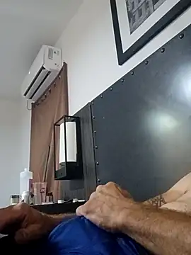 PaintCowboy Webcamshow