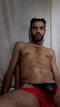 AllegedWhitefly Chat XXX live