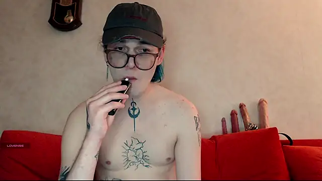 Steve_q Show in webcam