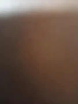 Sedaktor Webcam-Show
