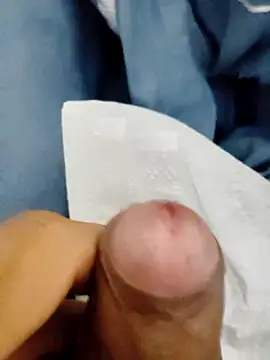 Pertunjukan Kamera Web Kannanu