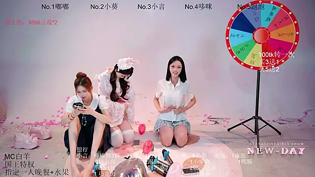 NEW-DAY's Webcam Show