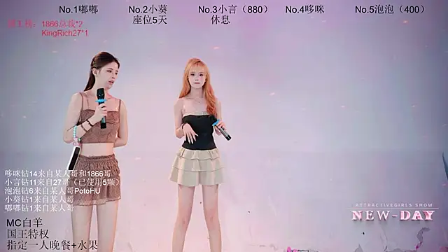 NEW-DAY's Webcam Show
