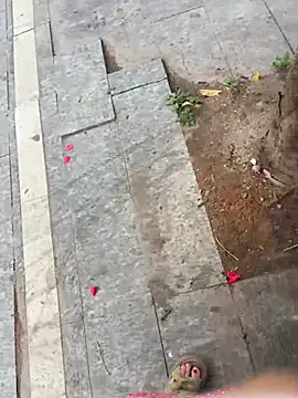 qwe522522's Webcam Show