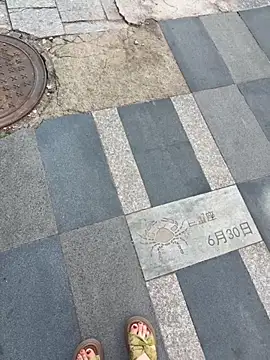 Show Webcam de qwe522522