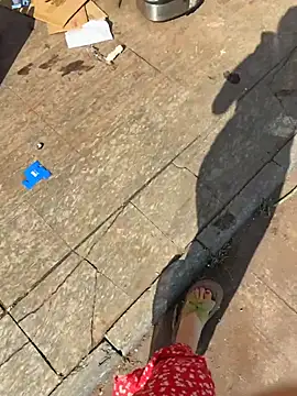 Show Webcam de qwe522522