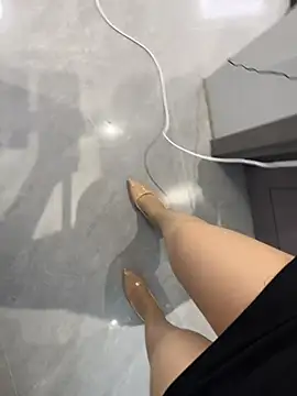Show Webcam de qwe522522