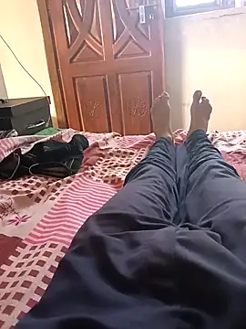 ElementaryColor80 Webcam show