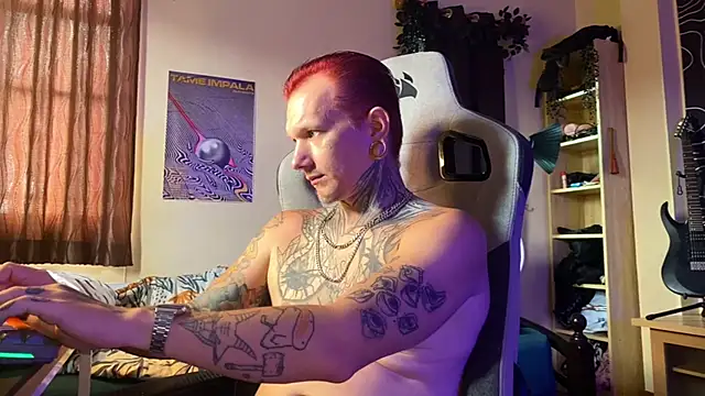paulvelvetn Webbikameraesitys