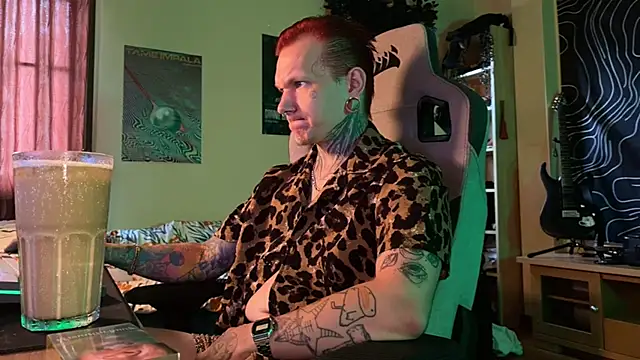 paulvelvetn Webbikameraesitys