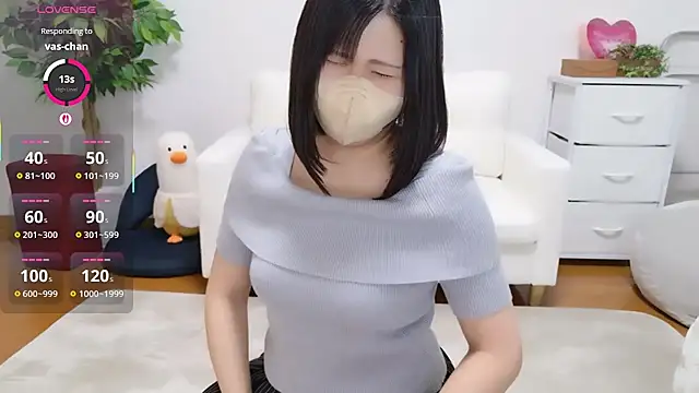 HIMAWARI_88chのウェブカメラショー