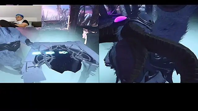 Show Webcam de AskAveryAnything