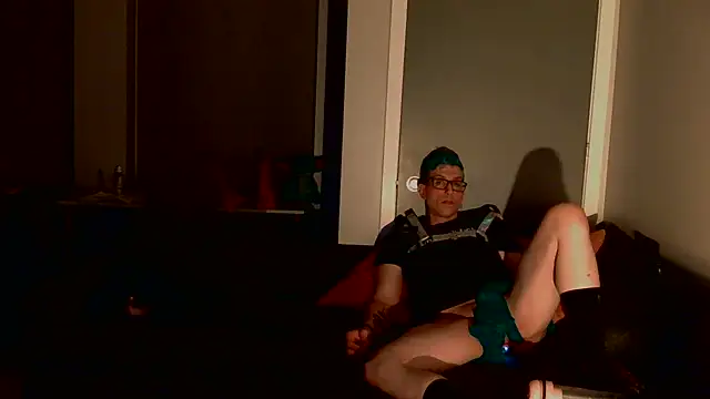 Show Webcam de AskAveryAnything