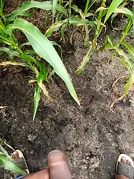 Show webcam de loki-king-143