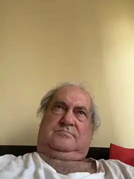 Show webcam de csikar