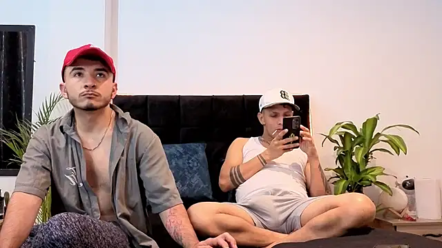 Noha-Wolf webkamerás műsora