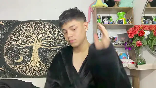 Andy_Belier23n Webbikameraesitys