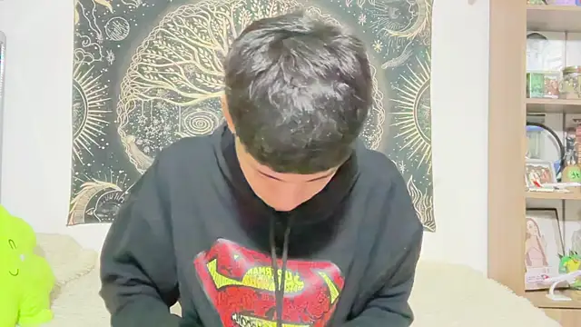 Andy_Belier23n Webbikameraesitys