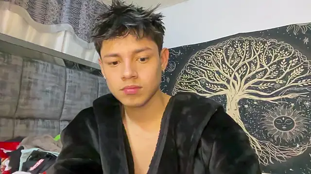 Andy_Belier23n Webbikameraesitys