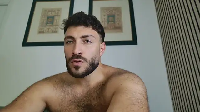 mark_ariete Webcam show