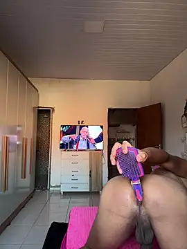 Bellatrans__ webkamerás műsora
