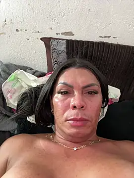 Bellatrans__n Webbikameraesitys