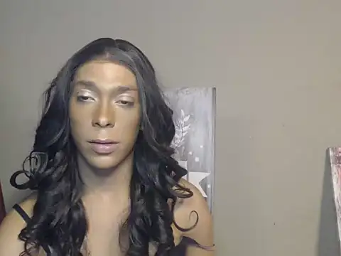 Pertunjukan Kamera Web CopedKarate