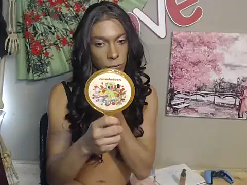 Show Webcam de CopedKarate