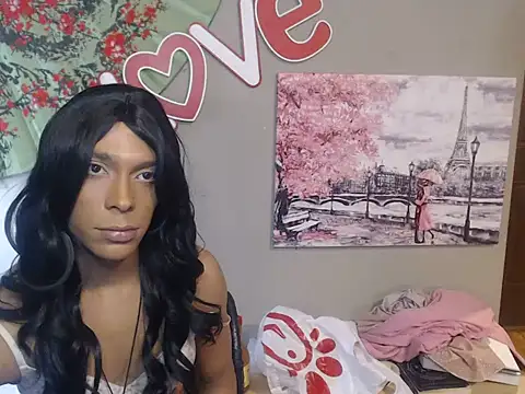 Show Webcam de CopedKarate