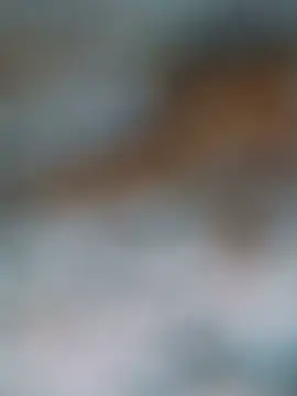 Show webcam de Shreya_pandit