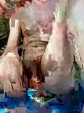 Quebec46's Webcam Show