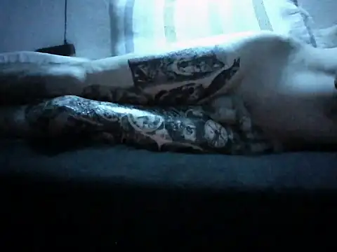 Show webcam de HugoSant