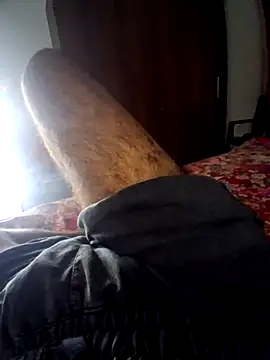 aman4404 webcam show