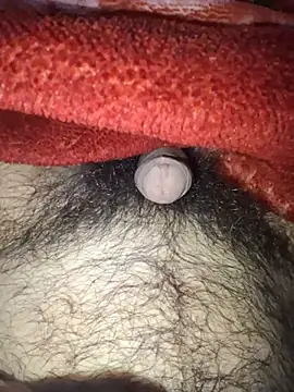 Show de webcam de Hootboy555