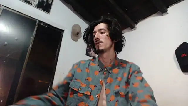 Show webcam de sk8-sir