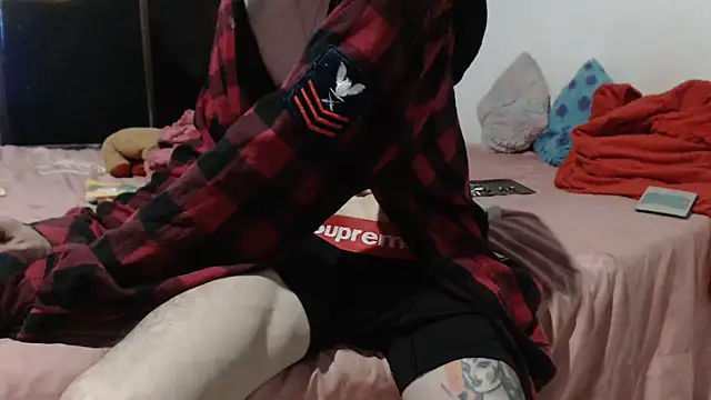 Show Webcam de sk8-sir