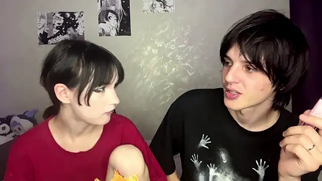 altycouplen Webbikameraesitys